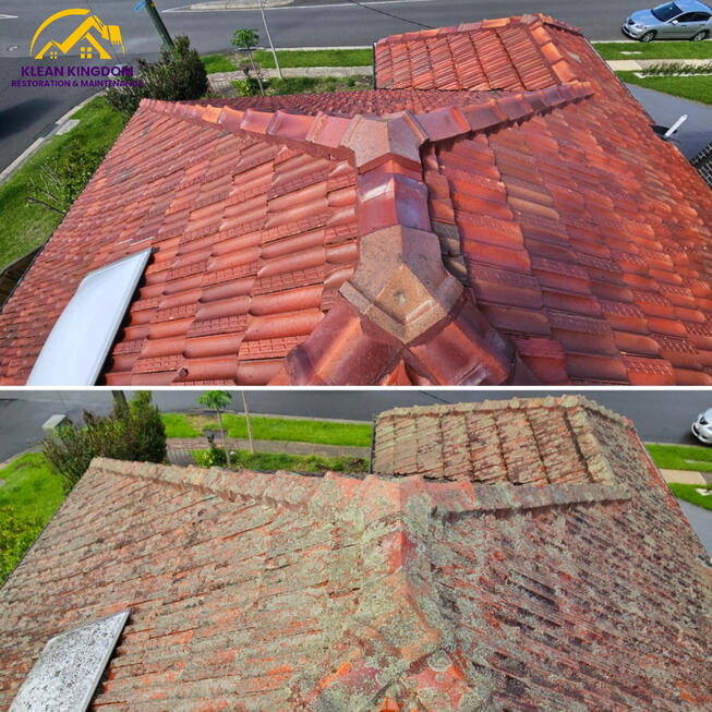 Terracotta roof clean in Ryde, Sydney — Klean Kingdom removed built-up lichen, moss, mould and algae, restoring the tiles' natural colour and improving hygiene and appearance. Terracotta roof in Ryde, Sydney before and after cleaning — moss, lichen and mould stripped back by Klean Kingdom